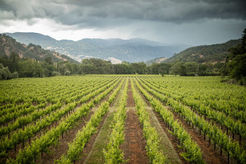 The McNab Ranch is home to Bonterra winery, is a 371-acre site situated near the Russian...