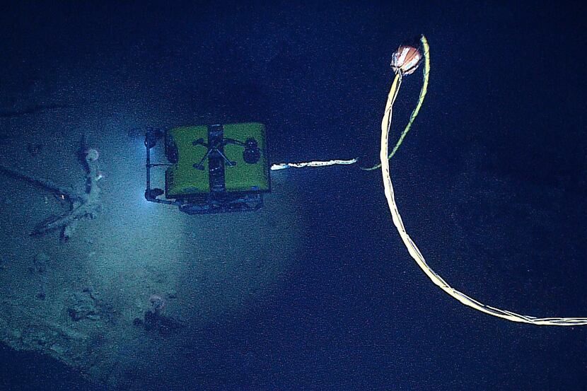 This photo provided by the NOAA Okeanos Explorer Program shows the Little Hercules remotely...