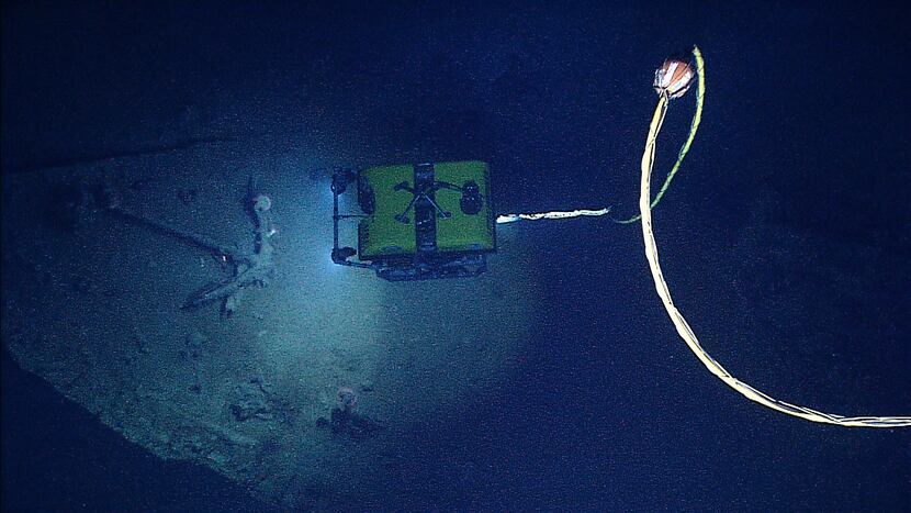 This photo provided by the NOAA Okeanos Explorer Program shows the Little Hercules remotely...