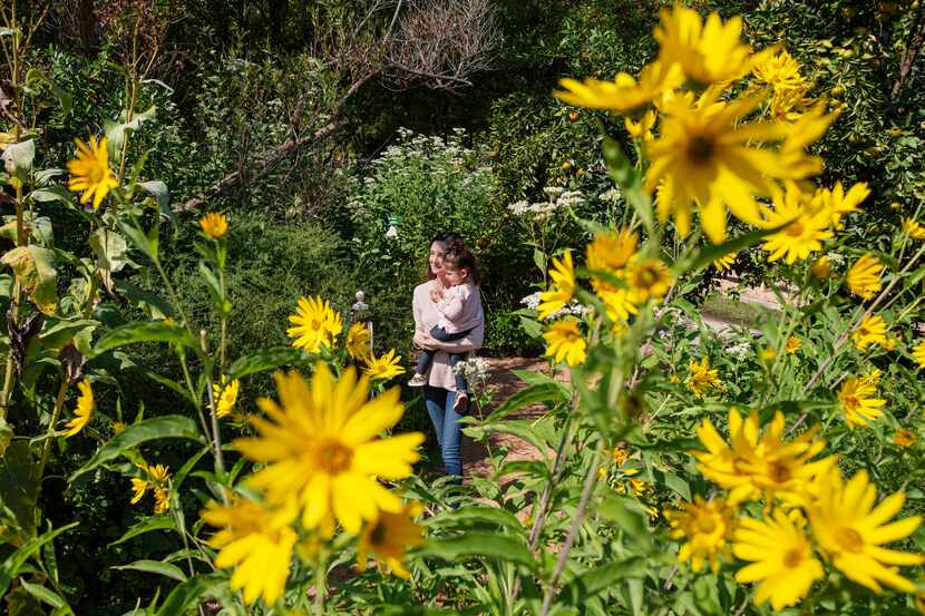 Taylor Paroo and her daughter, Sophia, amid the willow-leaf sunflowers at Texas Discovery...