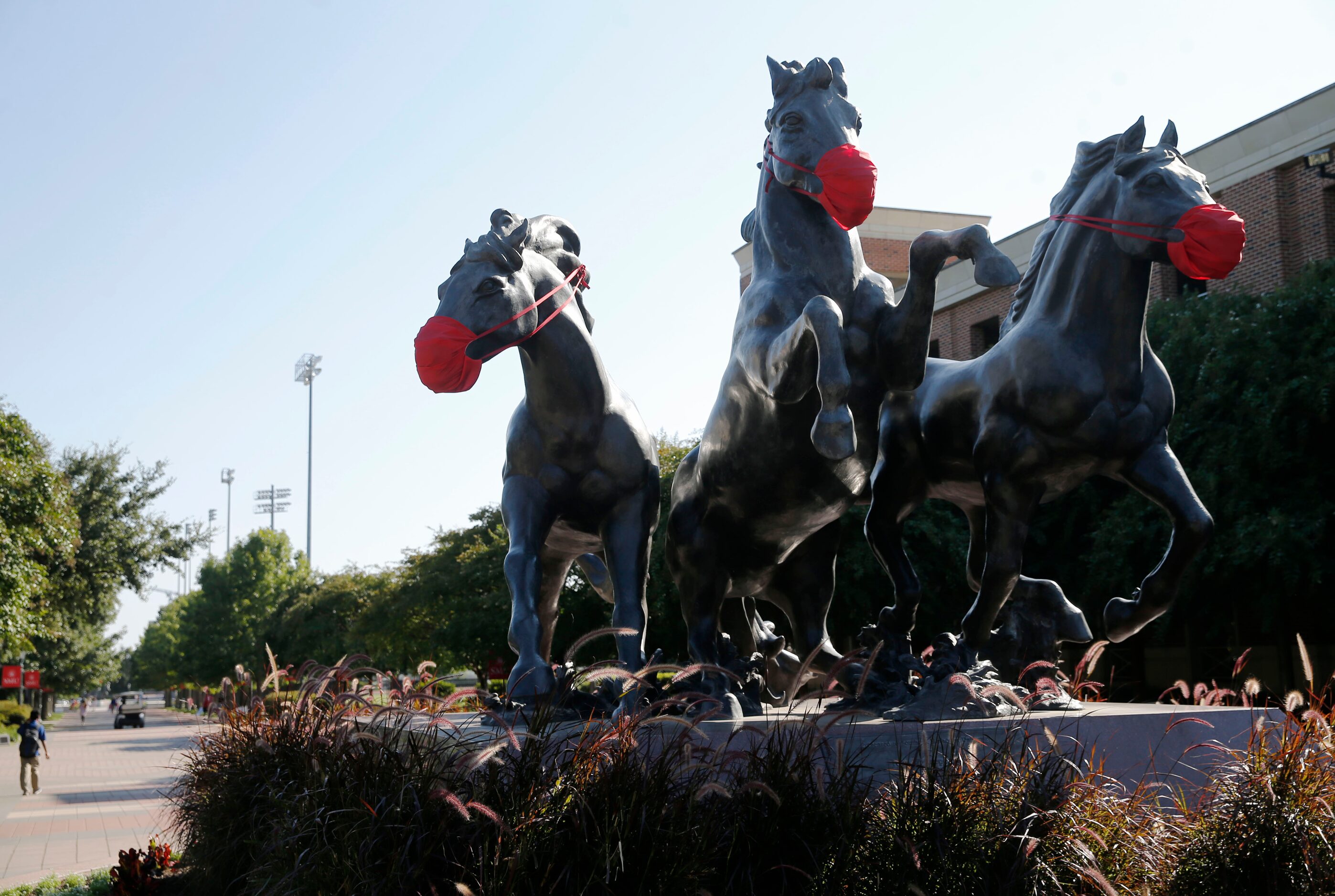 A statue of horses are masked up on the campus of Southern Methodist University in Dallas,...