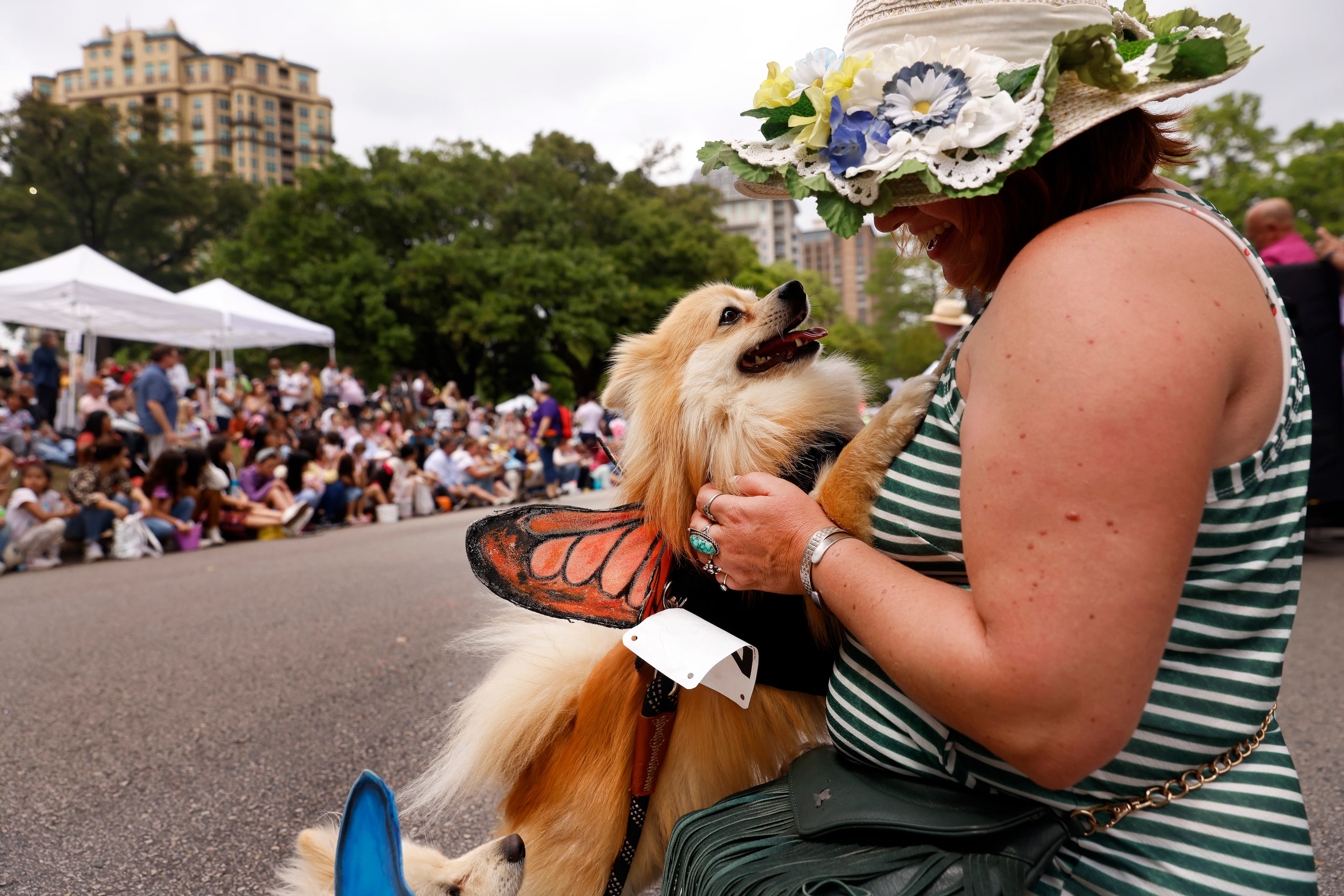 Dressed in monarch butterfly wings, Pomeranian dog Coco nuzzles with owner Natalie Staggs of...