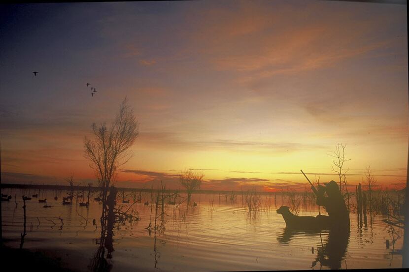 Waterfowl seasons begin next weekend and hunting prospects are good. A record number of...