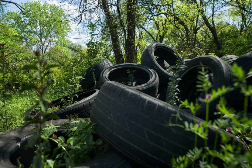 This 2019 photo shows one of the many piles of discarded tires that littered the overgrown...