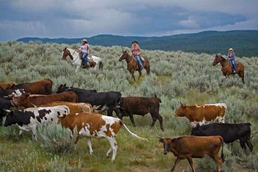 
The Cowgirl Spring Roundup is scheduled April 24-27 at the 37,000-acre Paws Up ranch in...