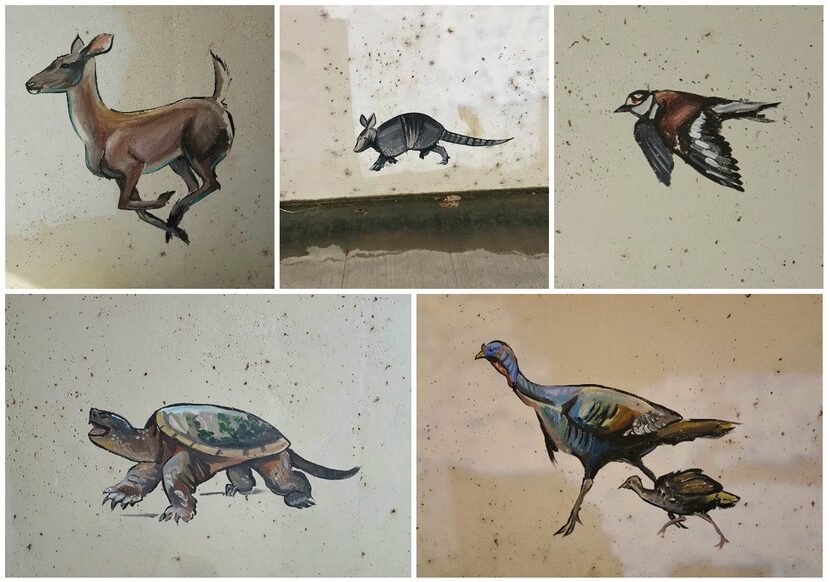 Paintings that appeared in the Bear Creek Parkway tunnel in Keller. The city had to paint...