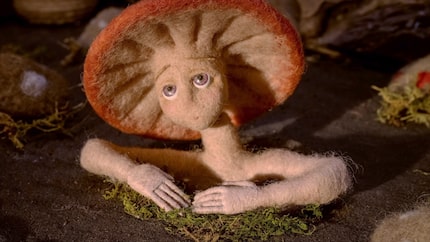 The Fungi Film Fest includes Amanita, among the 20 short films from 17 countries that will...