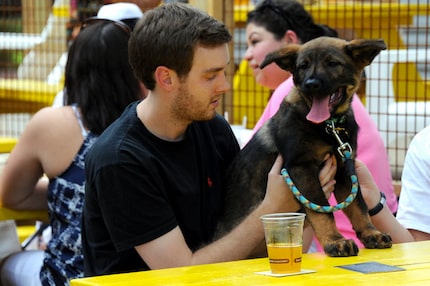 There's even a doggie menu at Mutts.