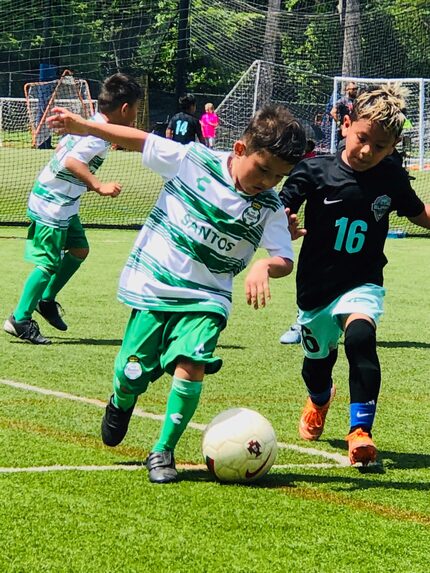 En la Academia de Santos Laguna en Dallas hay equipos de categorías que van de los 4 a los...