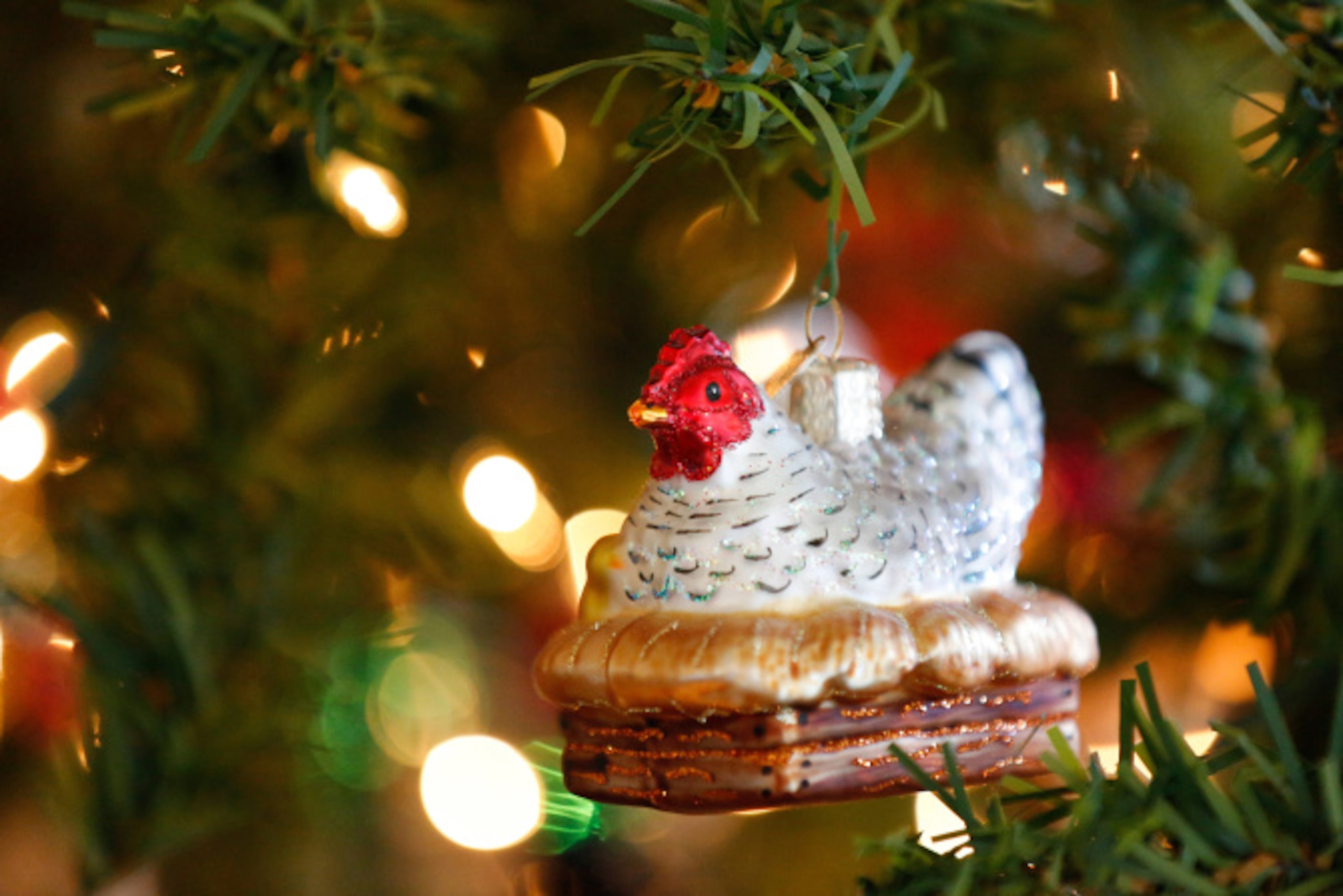 Hen ornaments cover Lisa and Jason Druebert's Christmas tree because they raise hens in...