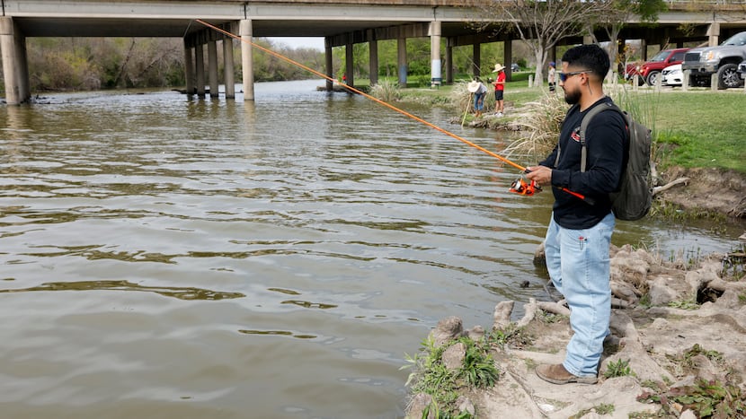 Tests showed high levels of E. coli at Dallas’ White Rock Lake after Plano sewage spill