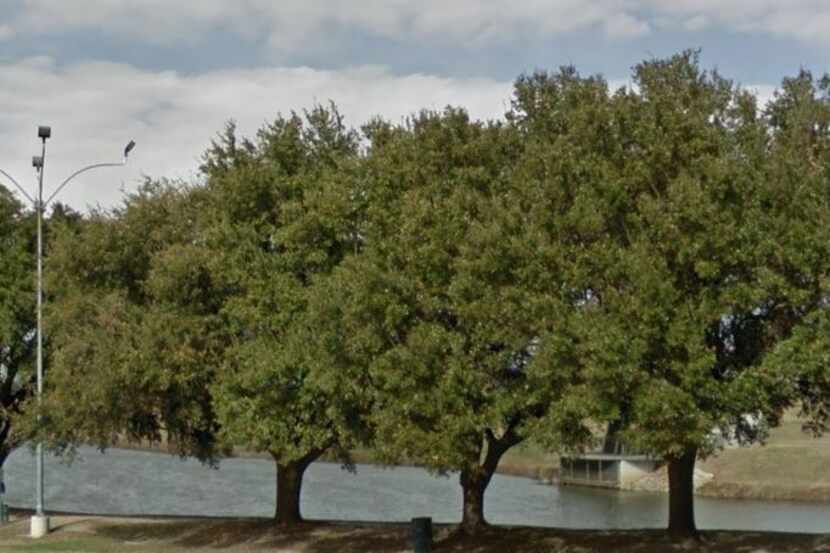 Changes to Dallas' tree ordinance are particularly conscious of development in southern...