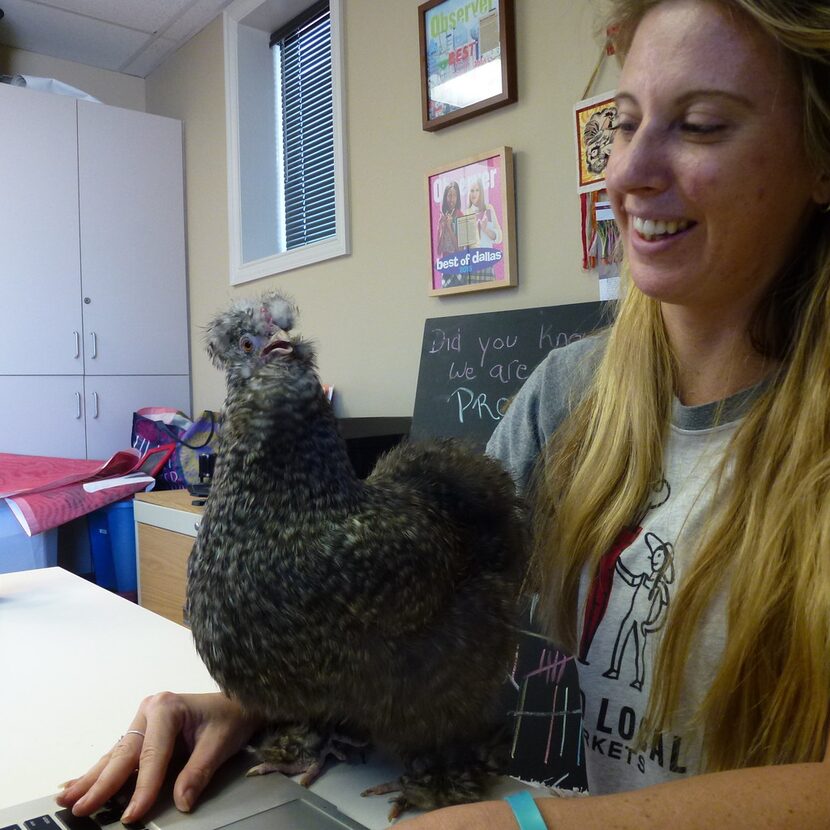 Kevin seems to be offering an opinion to Casey Cutler at the Good Local Markets office. 