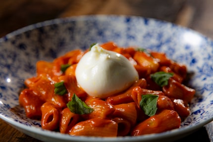 Rigatoni alla vodka is on the menu at the reinvented Gemma in Dallas.