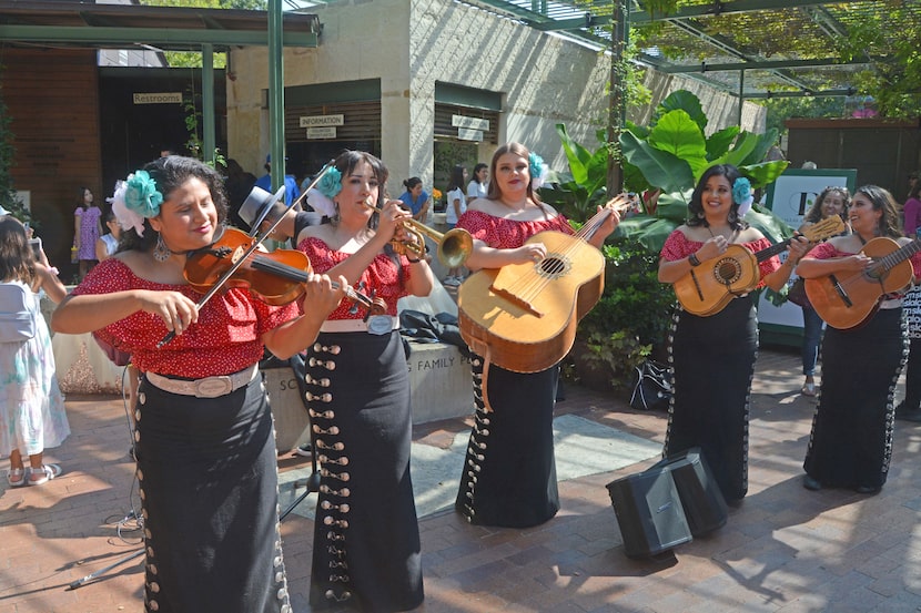 Quinceañeras desfilaron la mañana del sábado 10 de septiembre en el Dallas Arboretum para...