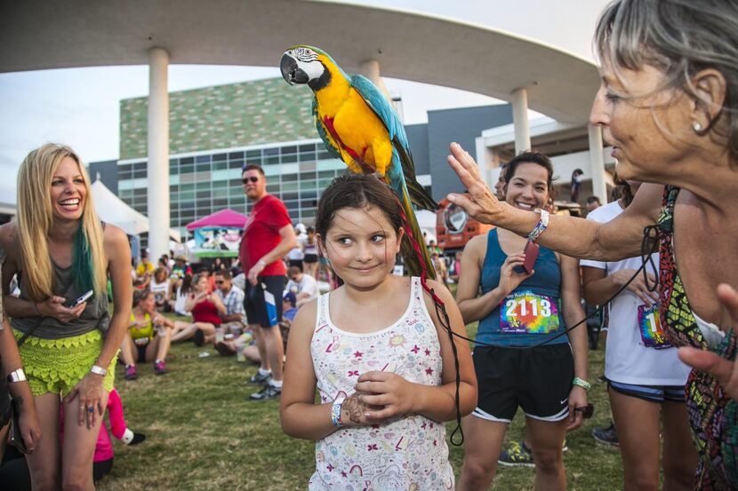 
Keep Austin Weird Fest

