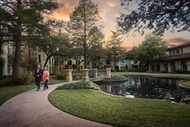 Wide shot of a landscaped outdoor courtyard with a couple walking along a paved path around...