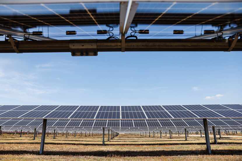 Solar panels at Lily Solar in Scurry, Texas, on Aug. 11, 2022.