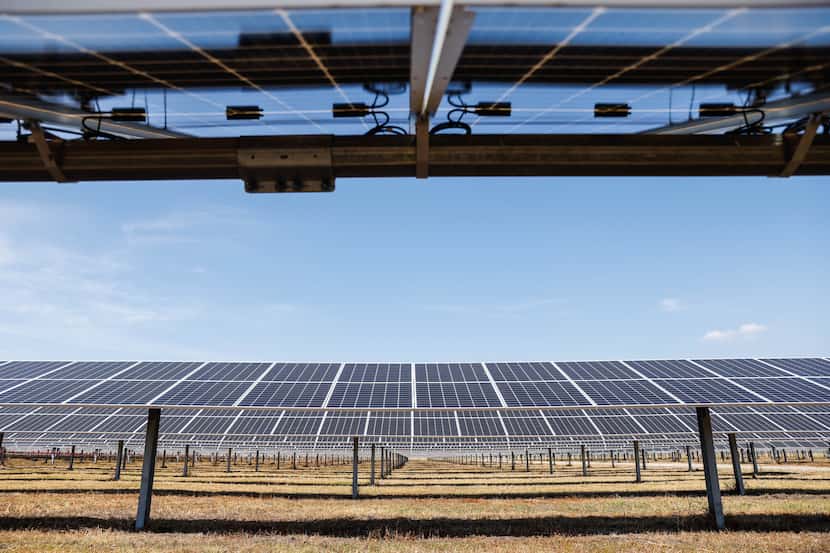 Solar panels at Lily Solar, which produces electricity for ERCOT, on Thursday, August 11,...