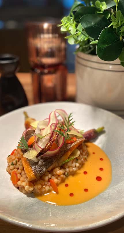 Chef Preston Paine created a new dish for Oak in Dallas: ocean trout with Israeli couscous...