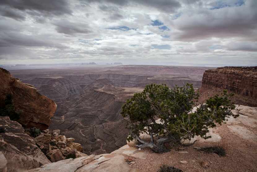 The San Juan River marks the southern edge of the 1.35 million-acre Bears Ears National...