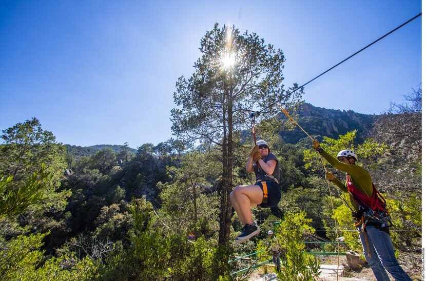 Entre los imperdibles en un itinerario por Zacatecas está visitar el Centro Ecoturístico El...