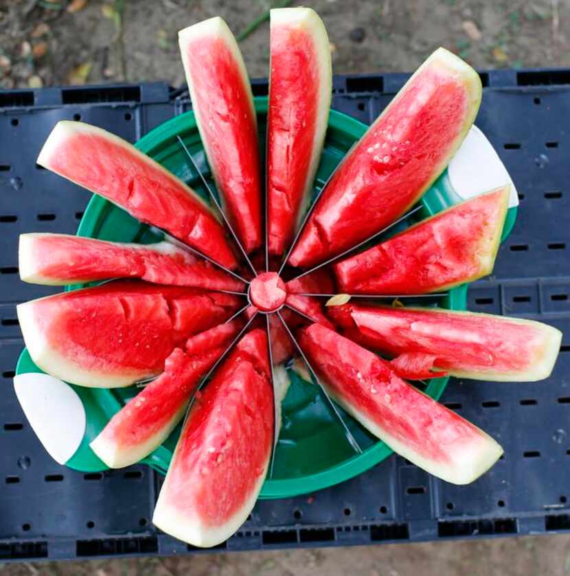 
A sliced watermelon advertised at a stand in the farmers market operating on Saturdays...