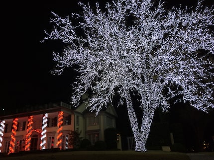 The Christmas Light Company wrapped this stunning tree in Dallas, but Rathburn declined to...