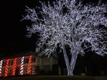 The Christmas Light Company wrapped this stunning tree in Dallas, but Rathburn declined to...