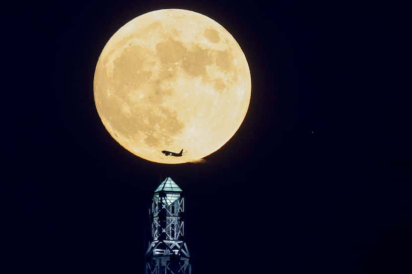 The The 99 percent Harvest moon rises by Dallas’ Renaissance Tower on Thursday, Sept. 28, 2023.