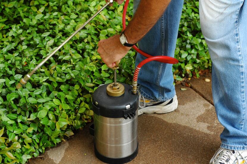 Pump-up sprayers are good for small jobs in your garden.