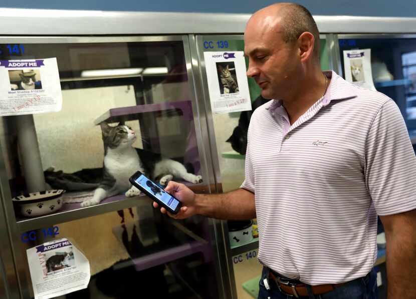 The app, demonstrated by Plano Animal Services director Jamey Cantrell, added cats to its...