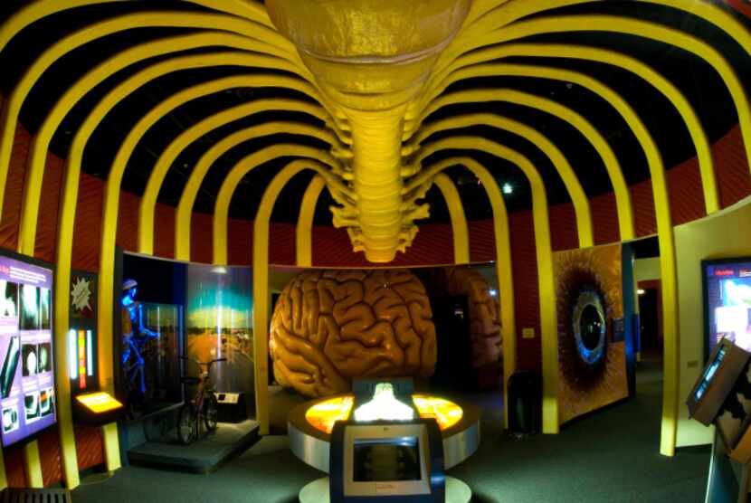 The Health Museum in Houston features the Amazing Body Pavilion where visitors walk through...