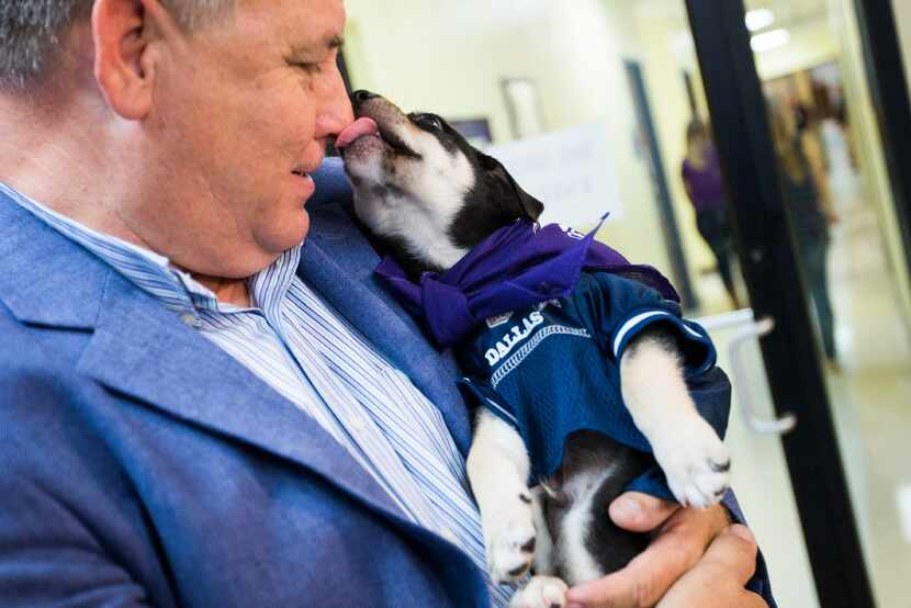 SPCA of Texas president James Bias holds a dog awaiting adoption on "Run to the Shelter" pet...