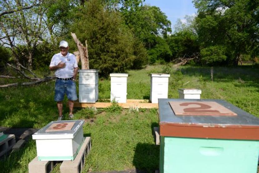 
Jay Houston stands near his bee hives in Garland. Houston and his friend Phil Lewis, who...