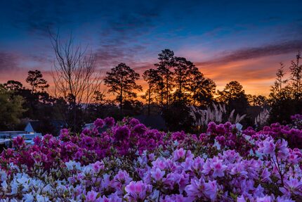 The 1018 Club is a hospitality house in Augusta, Ga. That's quite a view.