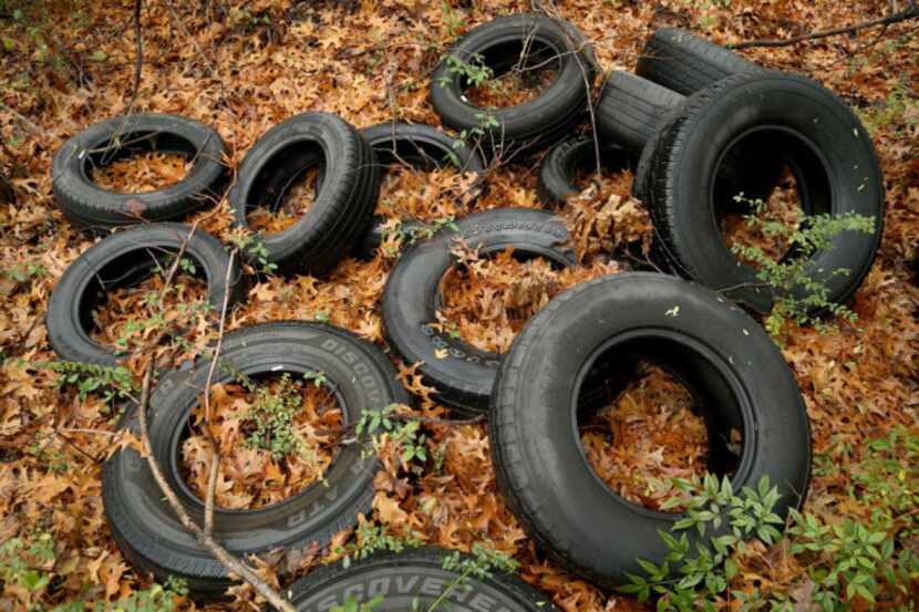 Discarded tires lie in the Great Trinity Forest near the Trinity River in Dallas.
