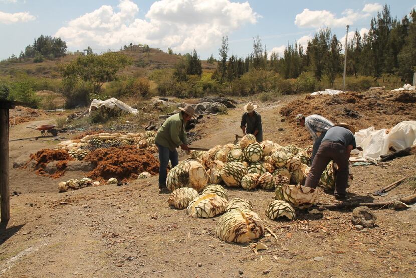 Workers prepare agave hearts for roasting at a mezcal cooperative outside of Oaxaca.