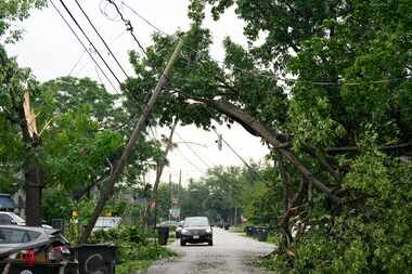 A tree snapped and tangled with the power wires on Gentry Street on Friday, May 17, 2024 in...