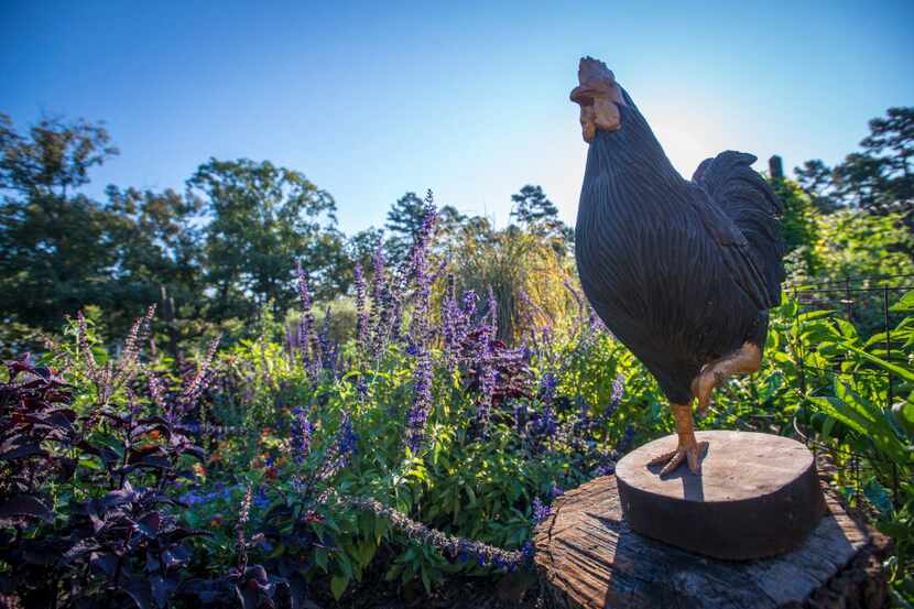 Chickens even have a place in the vegetable garden at P. Allen Smith's Moss Mountain Farm. 