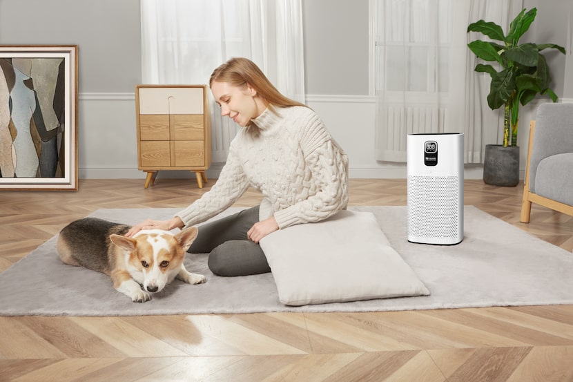 Proscenic A9 Air Purifier