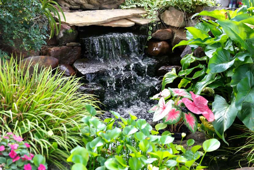 Kimberly and Ed Atchley's pond features two waterfalls.