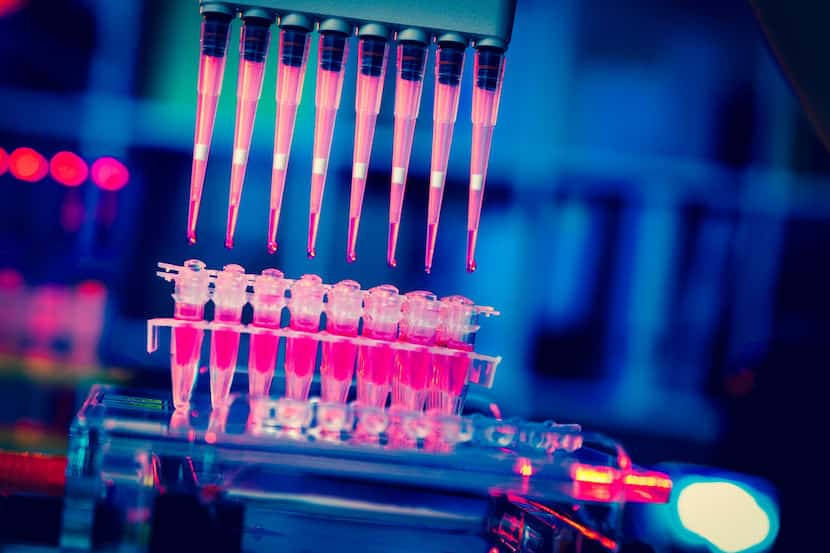 Dallas biotechnology firm Lantern Pharma will begin human trials on an experimental drug...