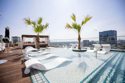 Hotel Swexan’s rooftop pool has four palm trees planted around the perimeter.