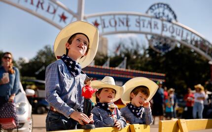 Isaiah Lee, 8, and twin brothers Zachary Lee (center) and Zane Lee watch as Tex was lifted...