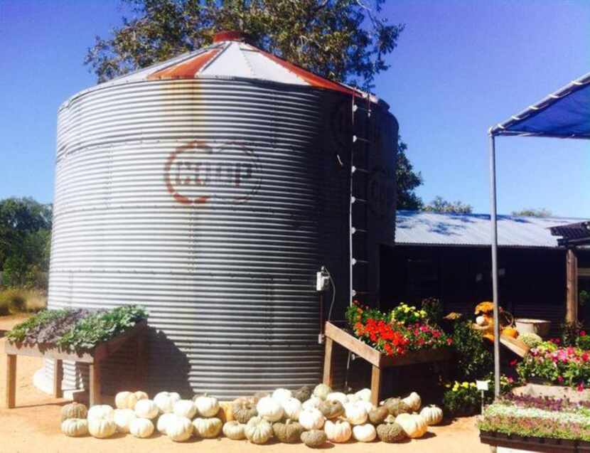 
The Garden Co. Marketplace and Cafe in Schulenburg 
