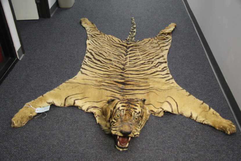 Operation Wild Web cracked down on online wildlife trafficking, including items like tiger...