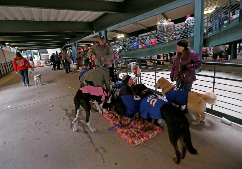 Fans take rest with their dog during the annual Bark in the Park night at the Rangers vs....