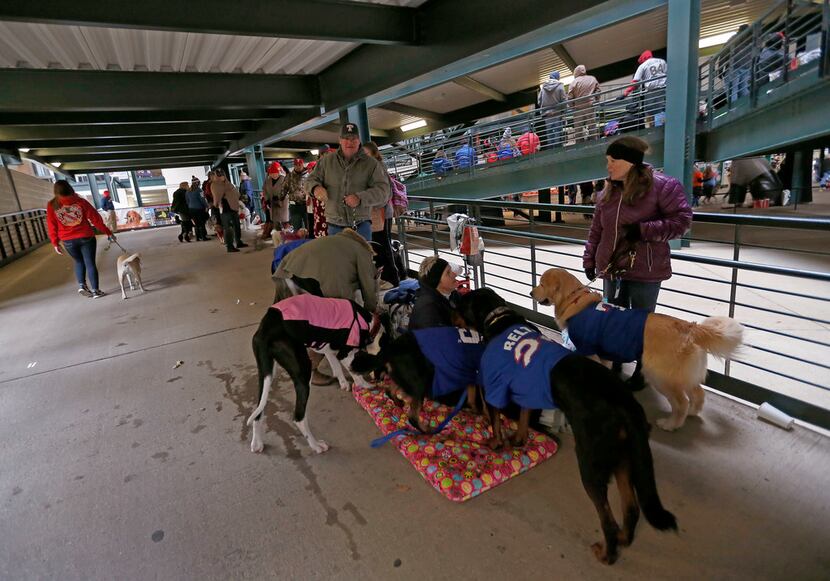 Fans take rest with their dog during the annual Bark in the Park night at the Rangers vs....