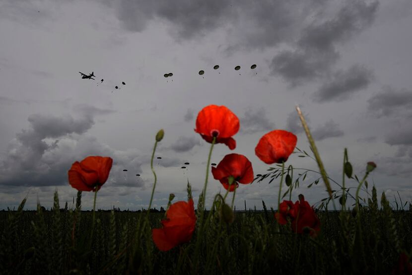 Poppies blossom in the grass as 280 paratroopers take part in a parachute drop onto fields...